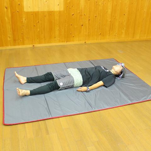 (アメニティドームS 専用) フロアマット
