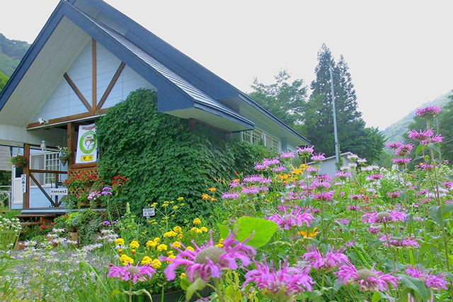 種山高原 星座の森